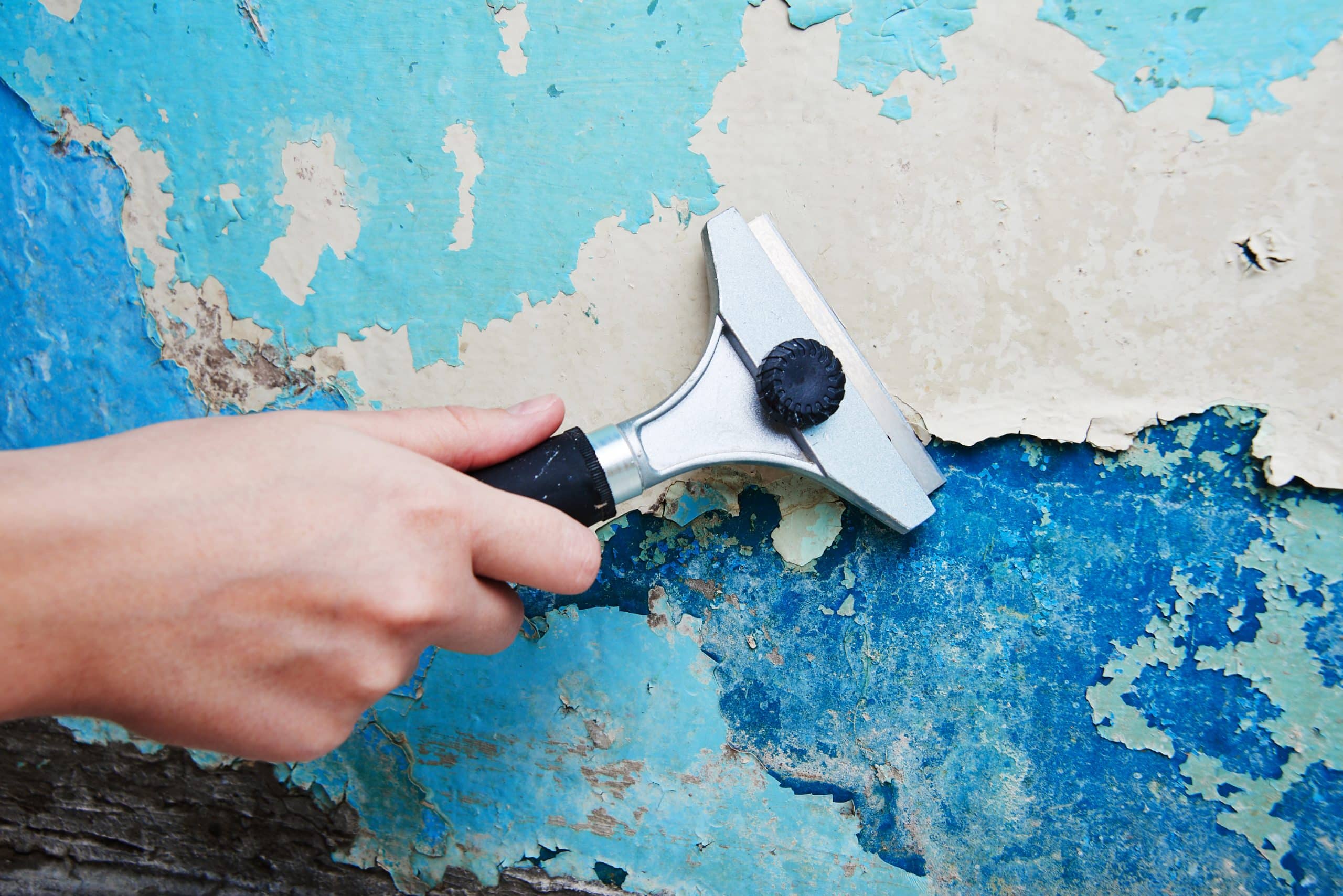 Close-up of a hand scraper lifting a flake of peeling paint off a wall