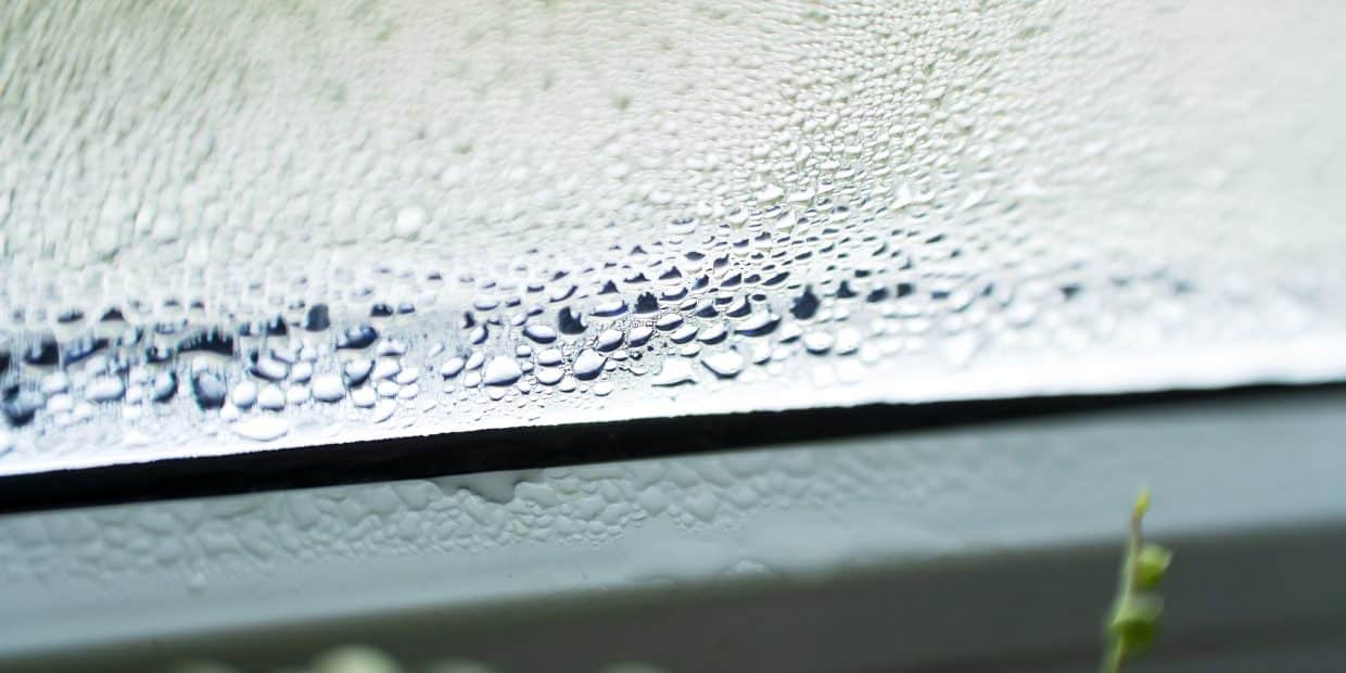 Condensation on Windows: What the Fog Is Telling You About the House
