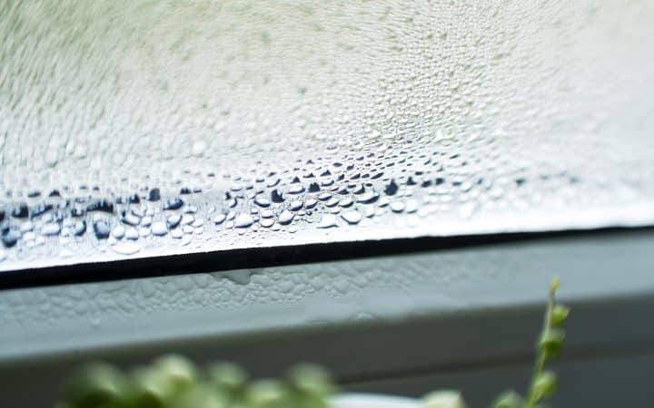 Condensation on Windows: What the Fog Is Telling You About the House