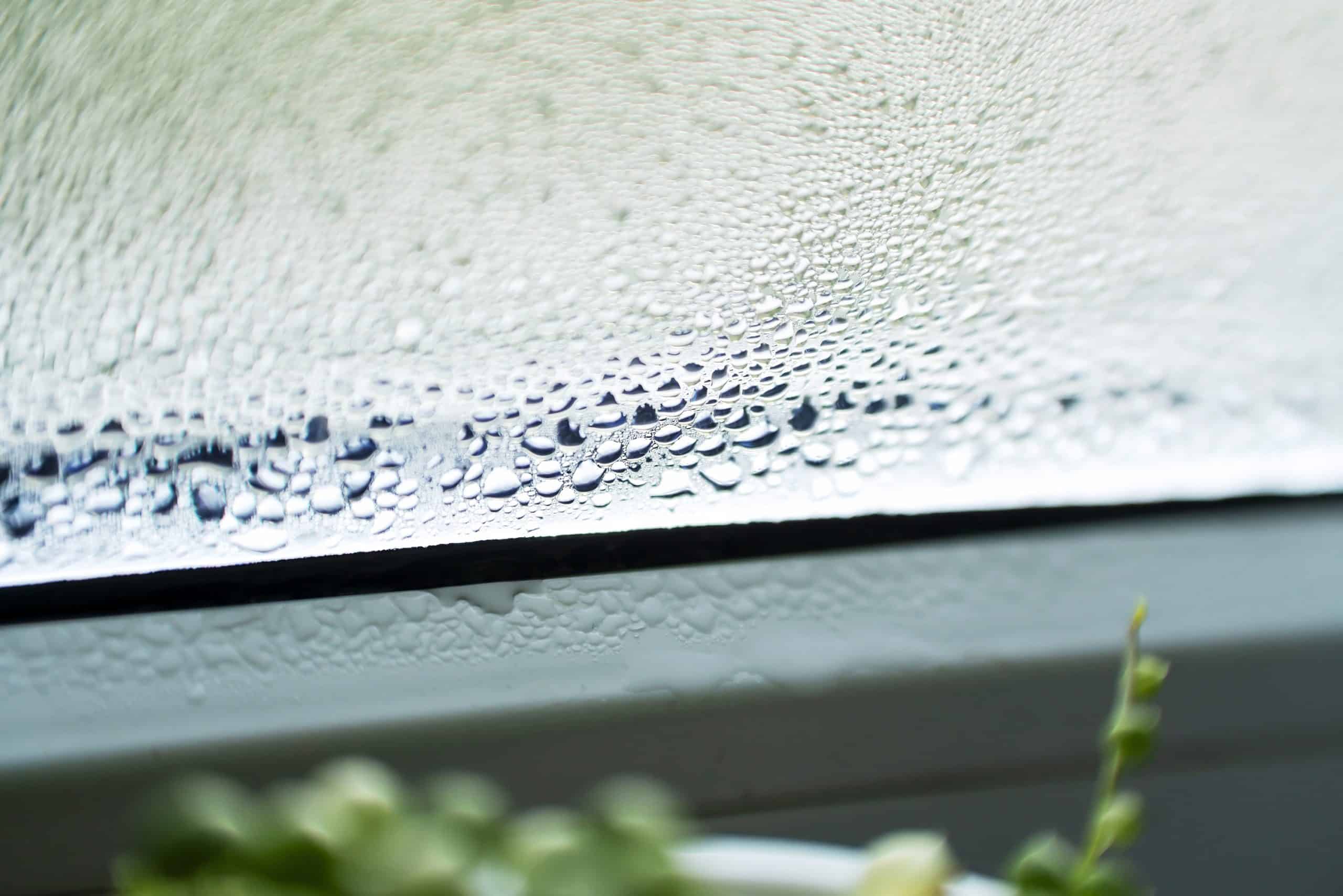 Condensation on Windows: What the Fog Is Telling You About the House