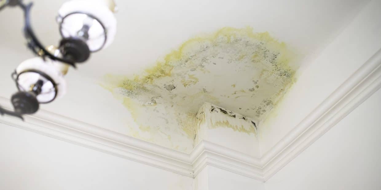 Minor water damage ceiling: the test before you reach for the primer