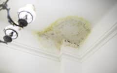 Minor water damage ceiling: the test before you reach for the primer