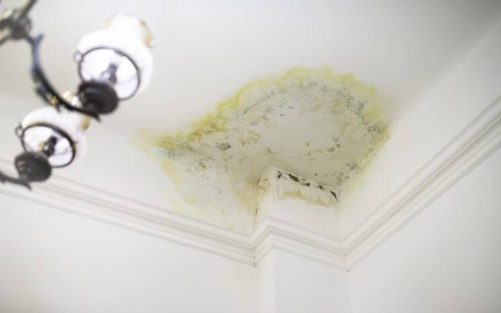 Minor water damage ceiling: the test before you reach for the primer