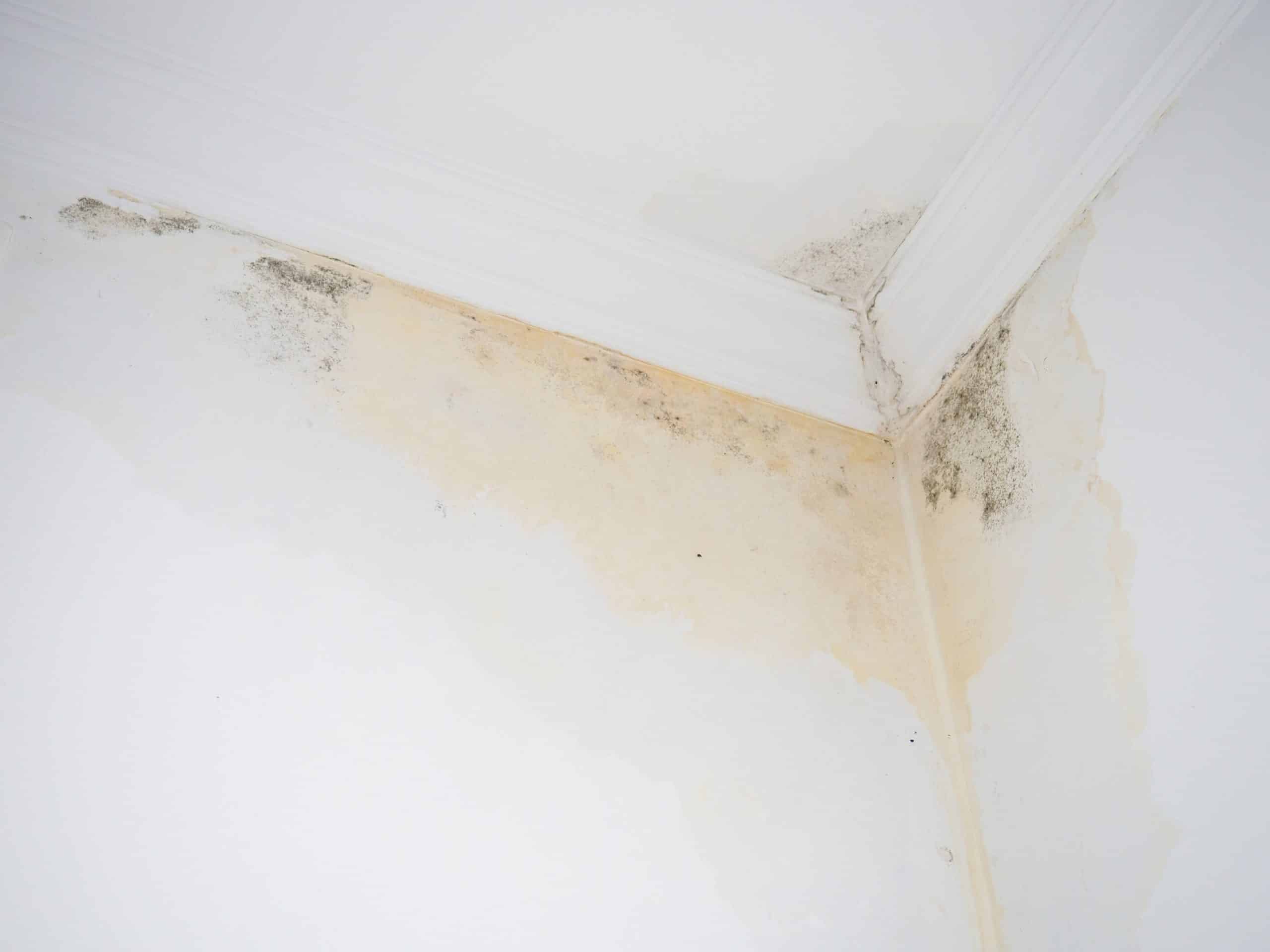 Water actively dripping from a ceiling, a sign the damage is not minor yet