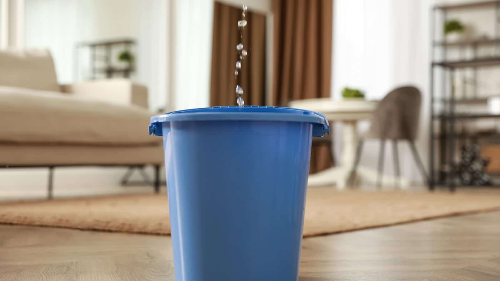 Blue plastic bucket on a living room floor catching a steady drip of water falling from the ceiling