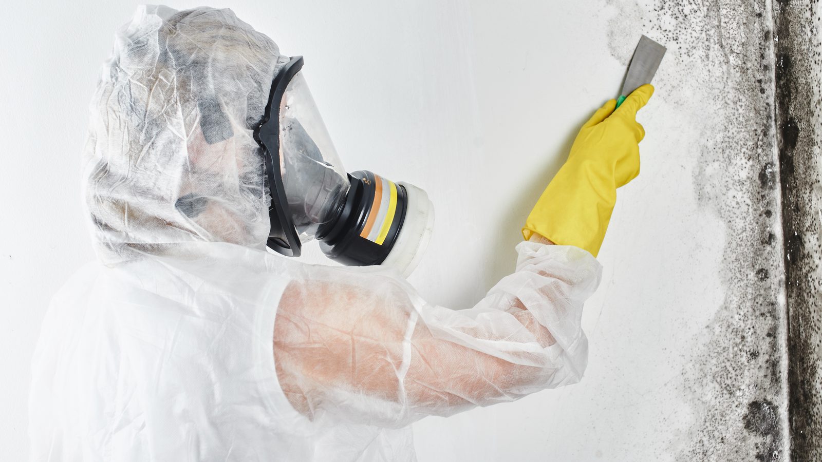A remediation worker in a white protective suit, respirator and yellow gloves scrapes heavy black mold growth off an interior wall with a putty knife
