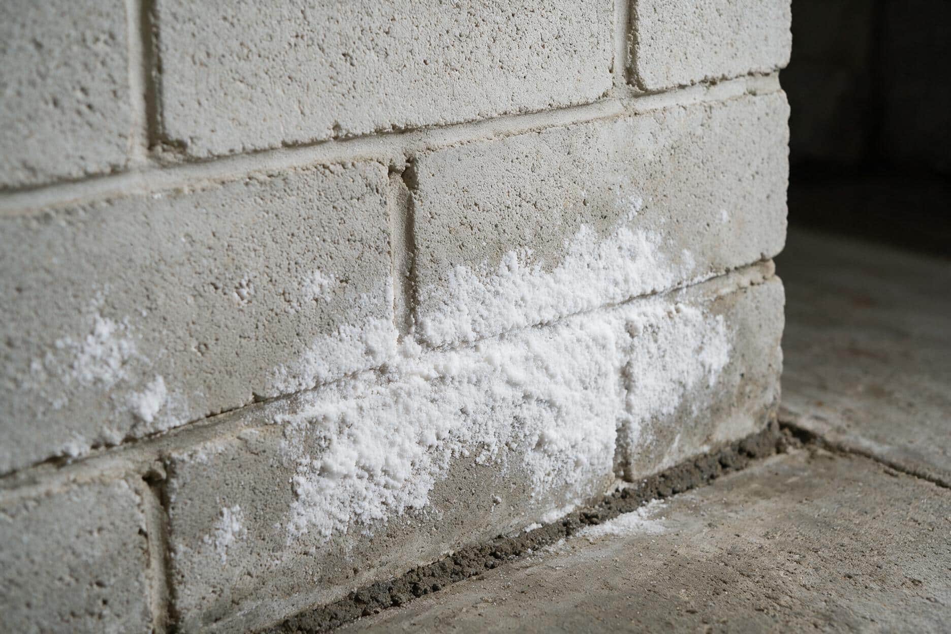 Efflorescence on walls: what the white crust is actually telling you
