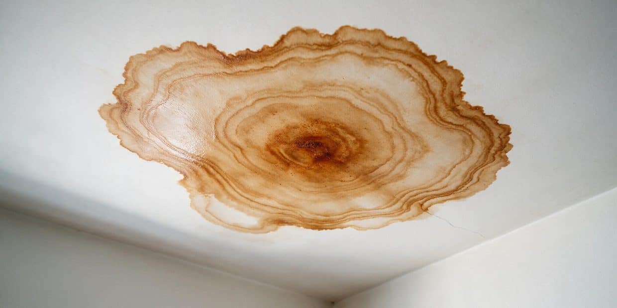 Water stain on ceiling: how to find the source before you patch it