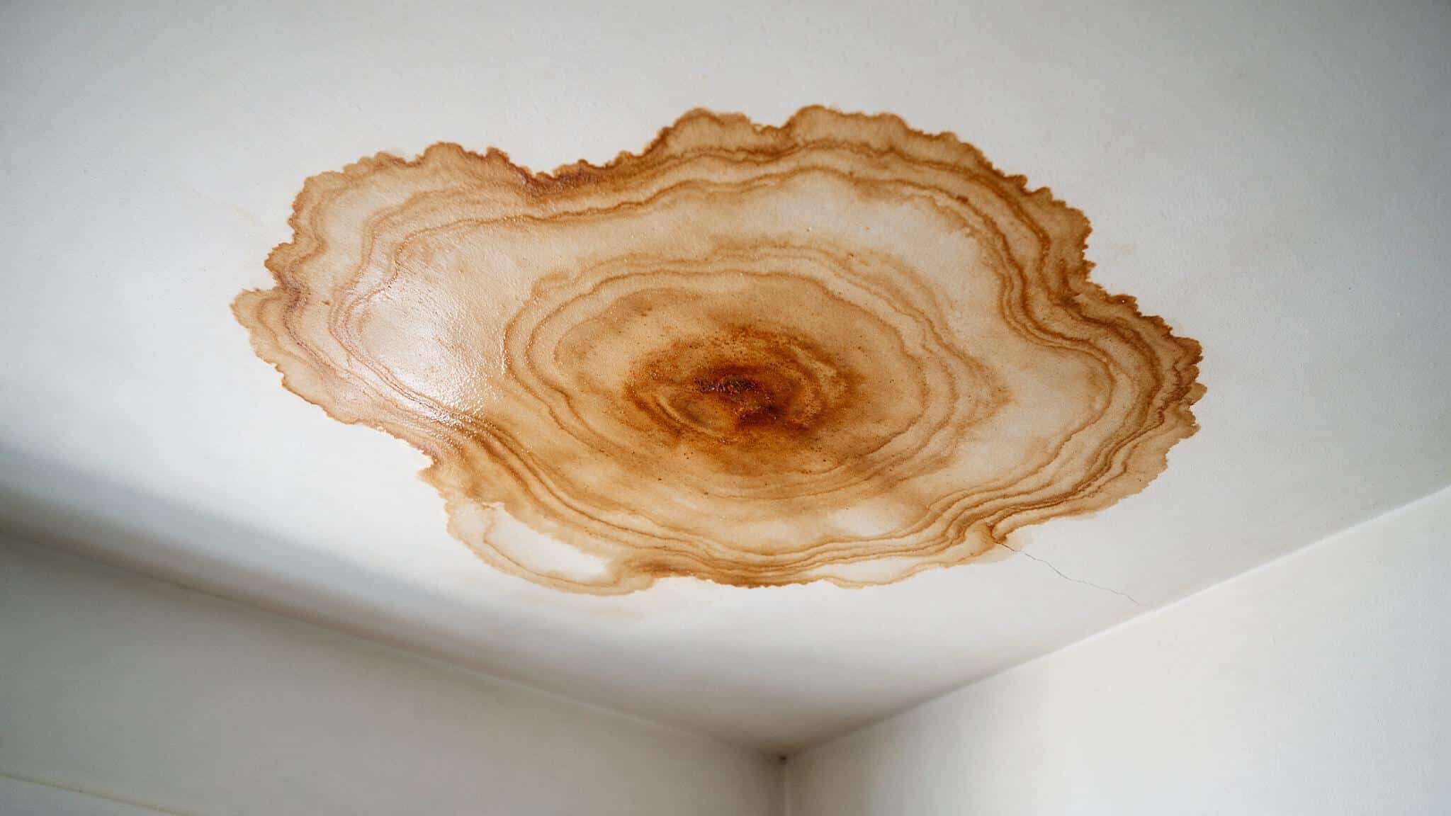 Water stain on ceiling: how to find the source before you patch it