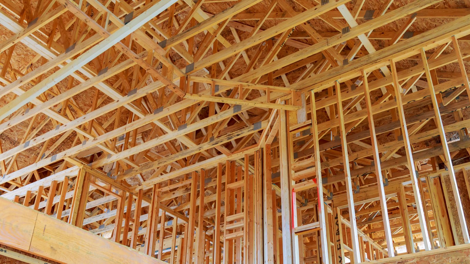 Bare lumber wall studs and roof trusses inside a house under construction before drywall goes up